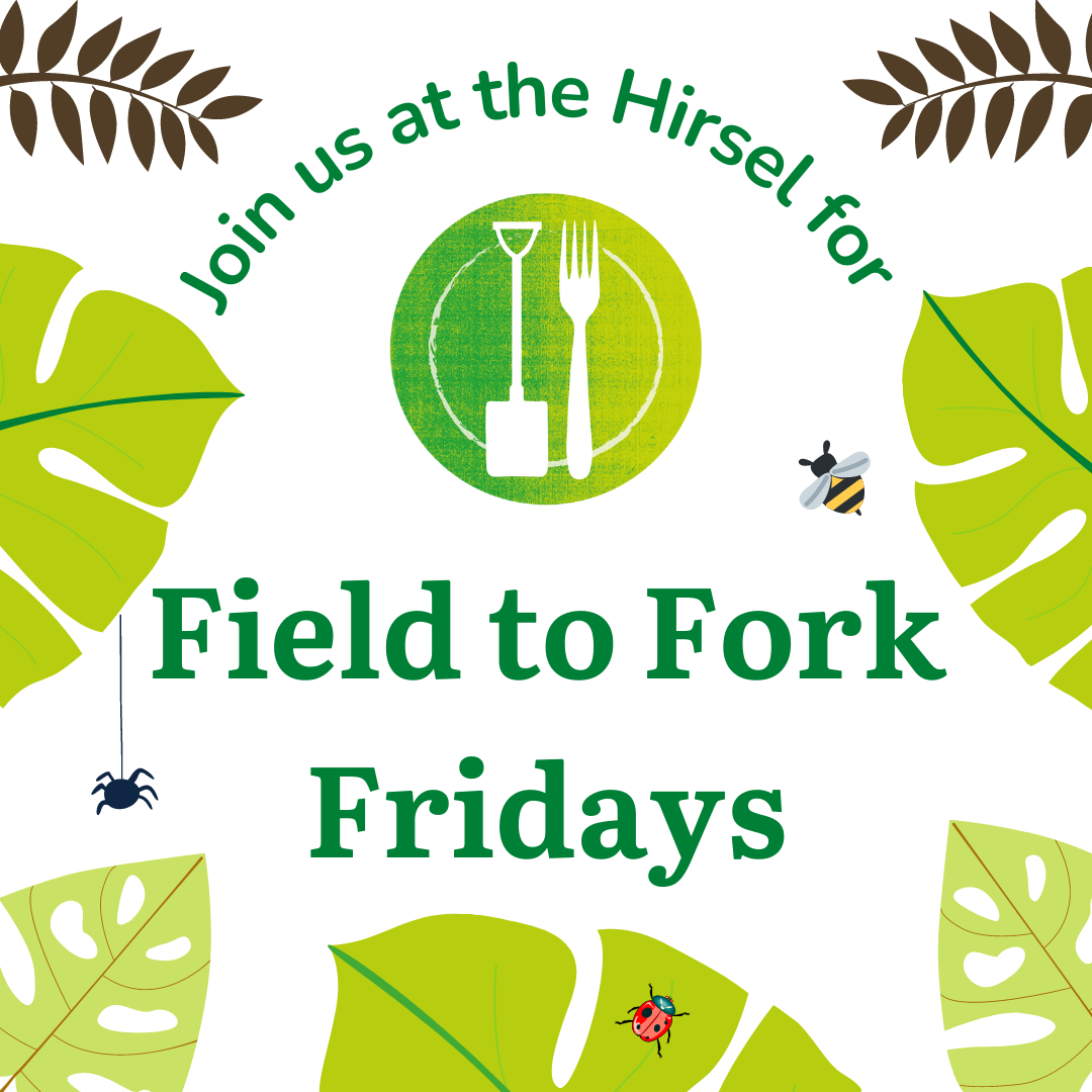 Field to Fork Fridays
